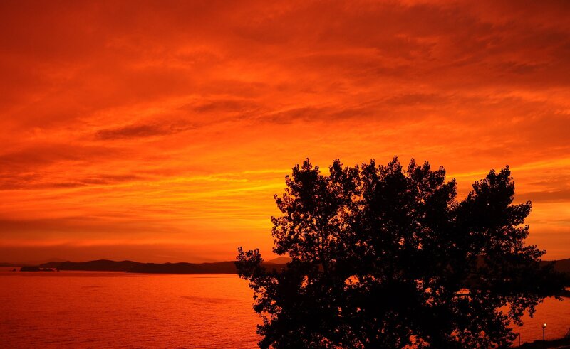 Silhouetted Tree at Sunset — Orange, Dramatic, Photograph, Sky, Water, Mountains