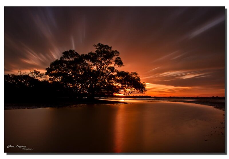Silhouetted Tree at Sunset — Orange, Dramatic, Photograph, Sky, Water
