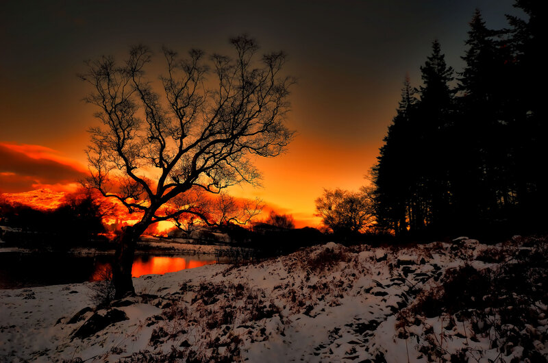 Silhouetted Tree at Sunset — Orange, Dramatic, Photograph, Snow