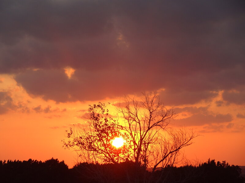 Silhouetted Tree at Sunset — Orange, Dramatic, Photograph, Sun, Clouds