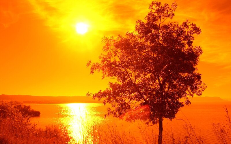 Silhouetted Tree at Sunset — Orange, Dramatic, Photograph, Sun, Lake