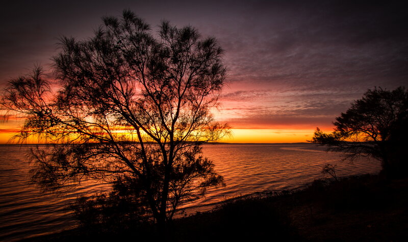 Silhouetted Tree at Sunset — Orange, Dramatic, Photograph, Water