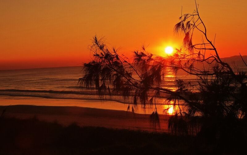 Silhouetted Tree at Sunset — Orange, Serene, Photograph, Ocean, Sun, Beach