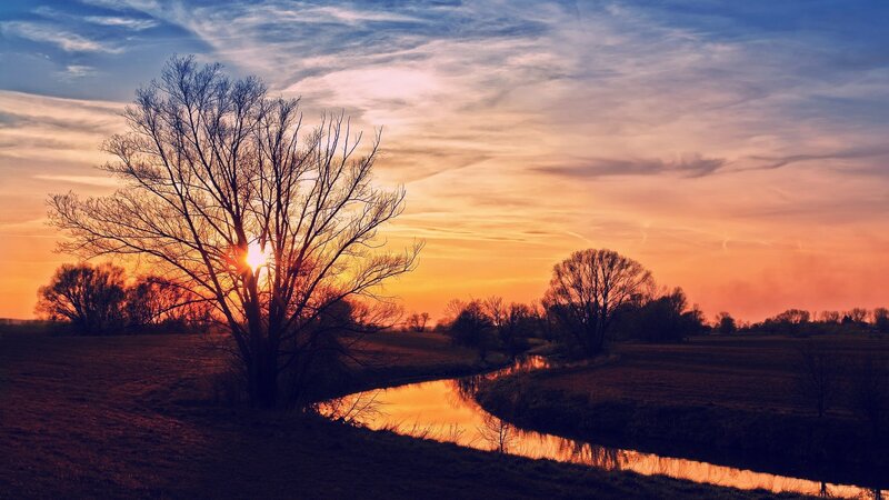 Silhouetted Tree at Sunset — Orange, Serene, Photograph, River, Sky
