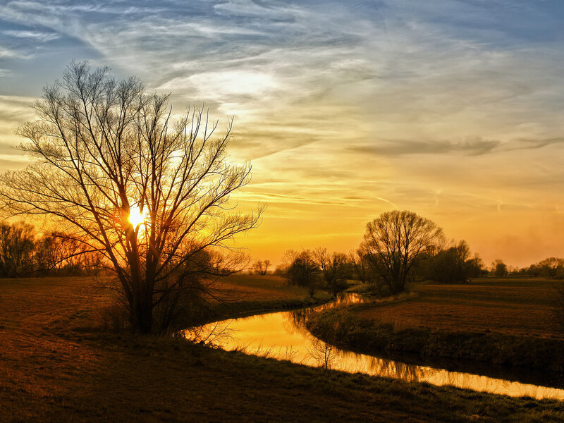 Silhouetted Tree at Sunset — Orange, Serene, Photograph, River