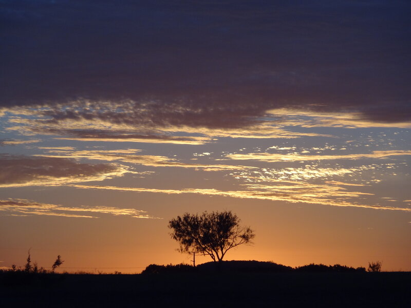Silhouetted Tree at Sunset — Orange, Serene, Photograph, Sky, Clouds