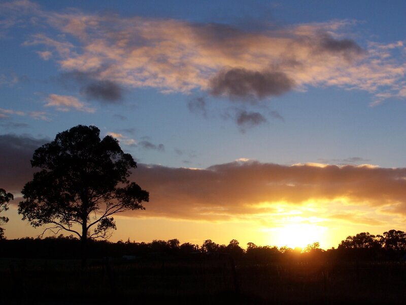 Silhouetted Tree at Sunset — Orange, Serene, Photograph, Sky, Clouds, Trees