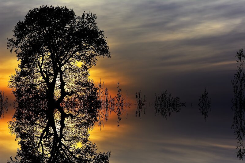 Silhouetted Tree at Sunset — Orange, Serene, Photograph, Sky, Reflection