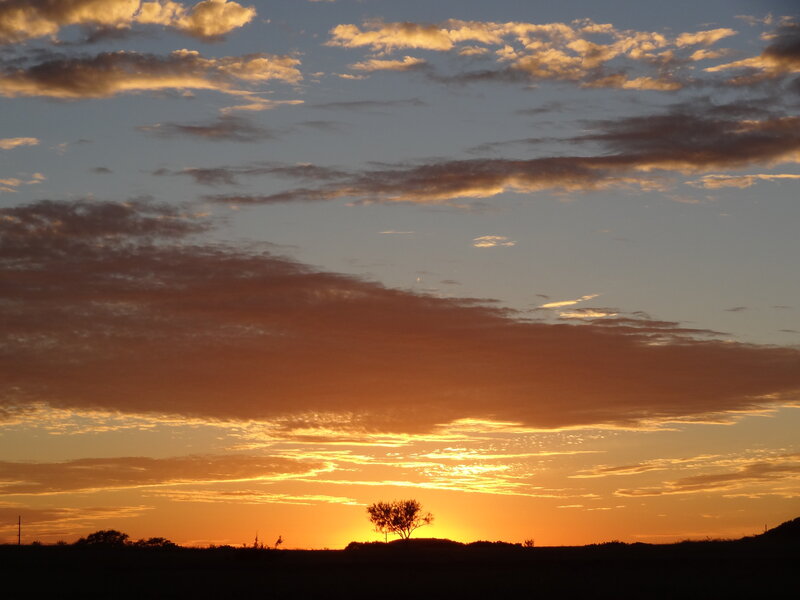 Silhouetted Tree at Sunset — Orange, Serene, Photograph, Sky