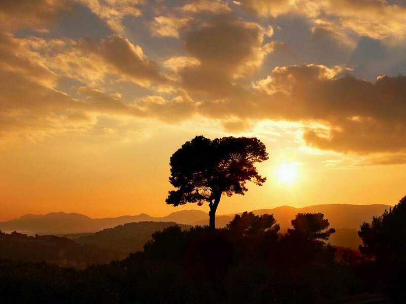 Silhouetted Tree at Sunset — Orange, Serene, Photograph, Sun, Clouds, Mountains