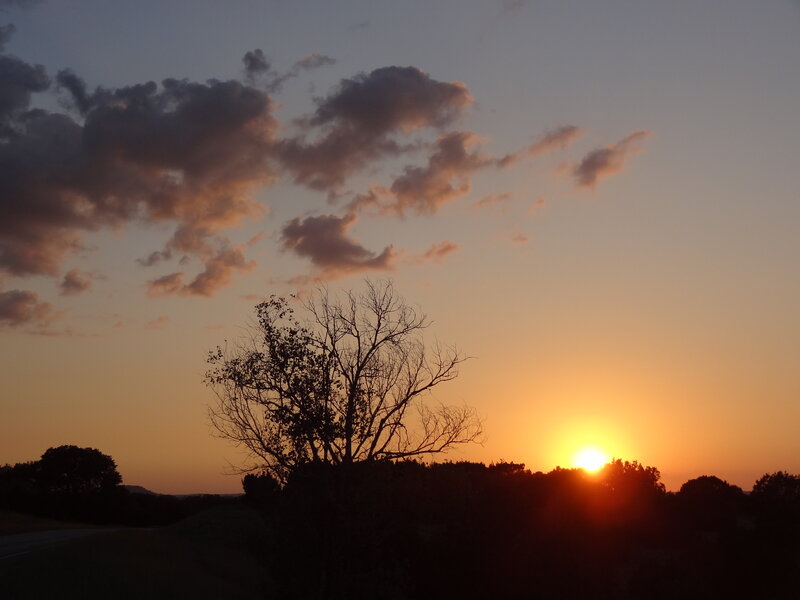 Silhouetted Tree at Sunset — Orange, Serene, Photograph, Sun, Clouds, Trees