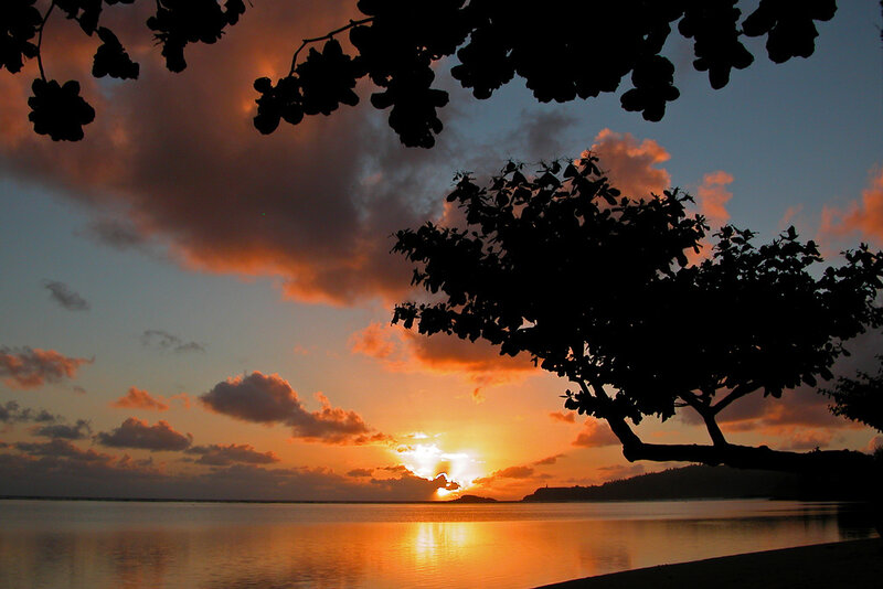 Silhouetted Tree at Sunset — Orange, Serene, Photograph, Sun, Clouds, Water
