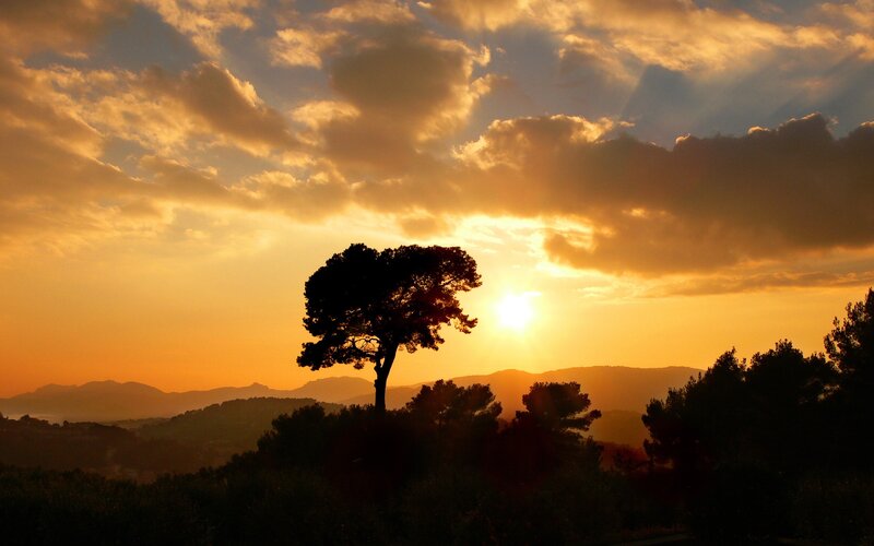 Silhouetted Tree at Sunset — Orange, Serene, Photograph, Sun, Mountains, Clouds