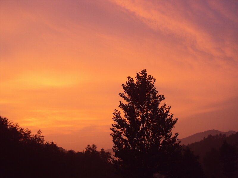Silhouetted Tree at Sunset — Orange, Serene, Photograph, Trees, Mountains