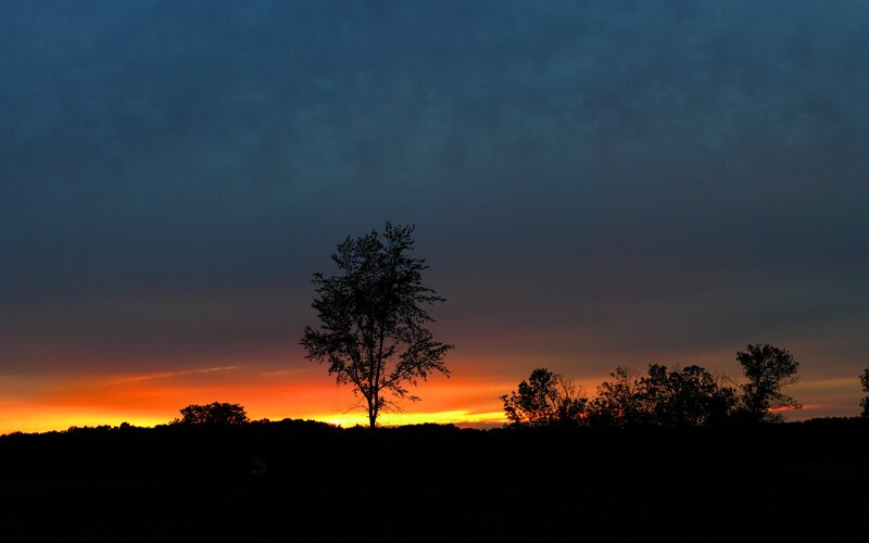 Silhouetted Tree at Sunset — Orange, Serene, Photograph, Trees, Sky