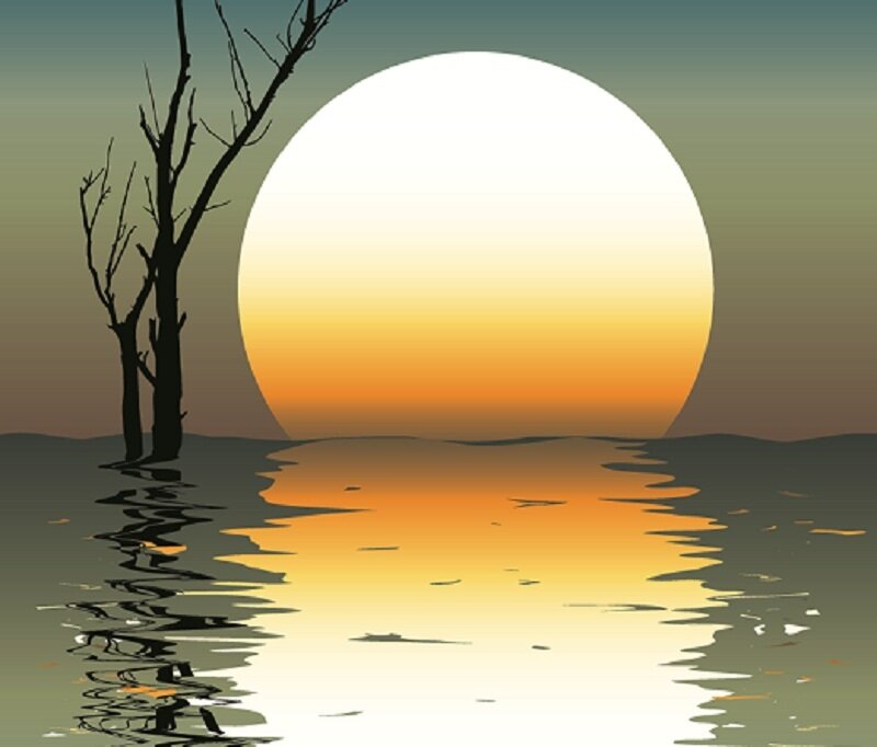 Silhouetted Tree at Sunset — Orange