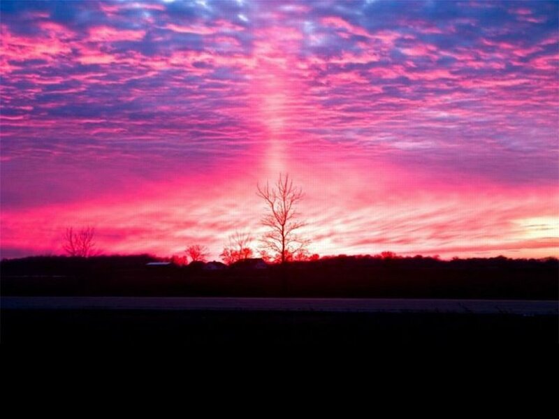 Silhouetted Tree at Sunset — Pink, Dramatic