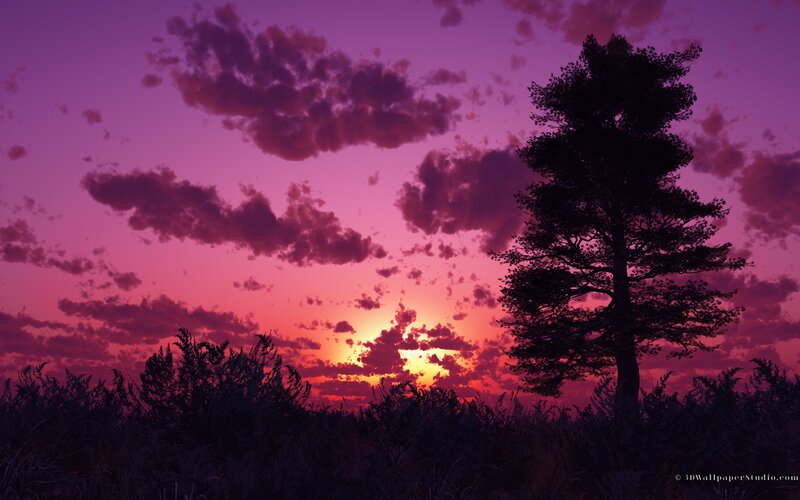 Silhouetted Tree at Sunset — Purple, Dramatic, Digital Art