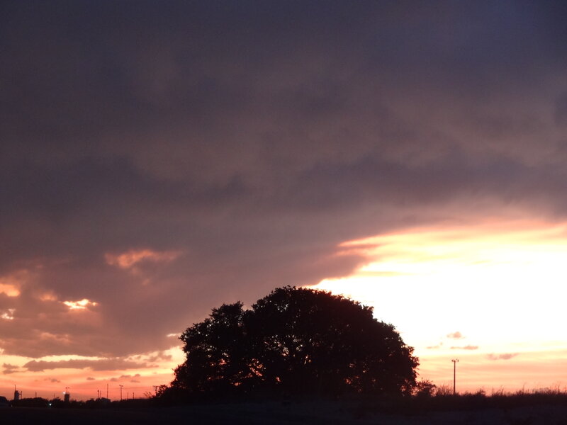 Silhouetted Tree at Sunset — Purple, Dramatic, Photograph, Clouds
