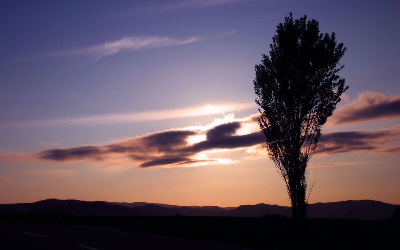 Silhouetted Tree at Sunset — Purple, Serene, Photograph, Clouds