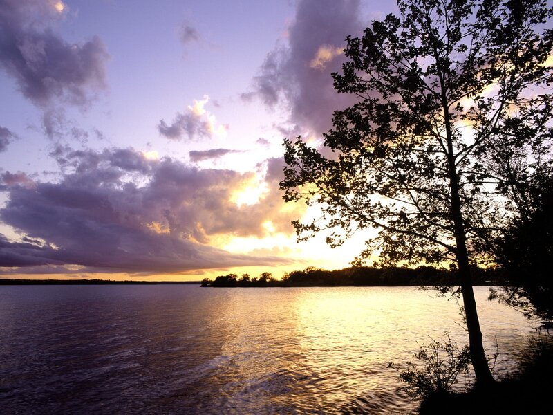 Silhouetted Tree at Sunset — Purple, Serene, Photograph, Lake, Clouds