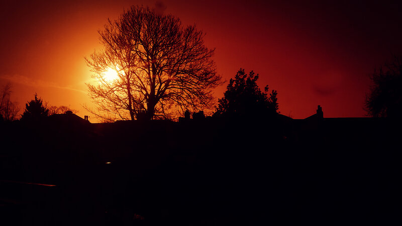 Silhouetted Tree at Sunset — Red, Dramatic, Photograph, Houses