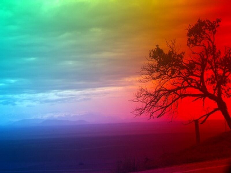 Silhouetted Tree at Sunset — Red, Dramatic, Photograph, Mountains