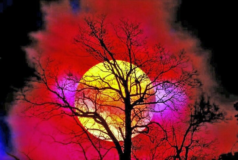 Silhouetted Tree at Sunset — Red, Dramatic, Photograph, Sun, Clouds