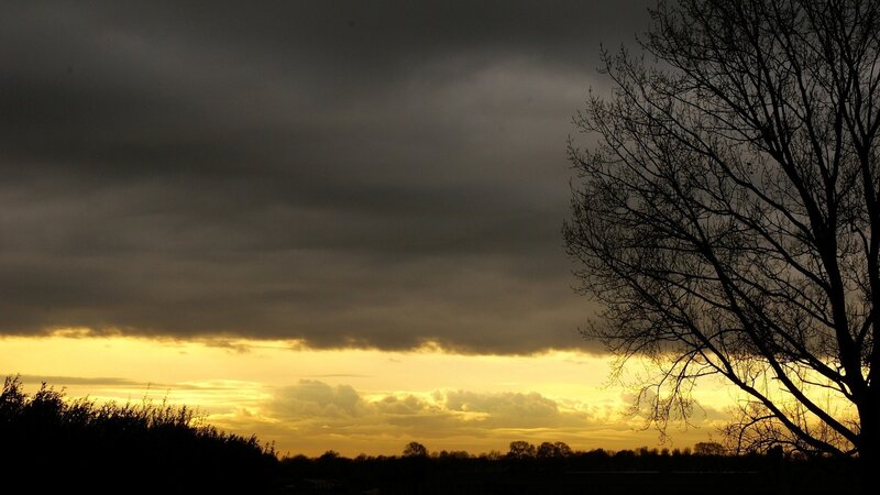 Silhouetted Tree at Sunset — Yellow, Dramatic, Photograph, Clouds