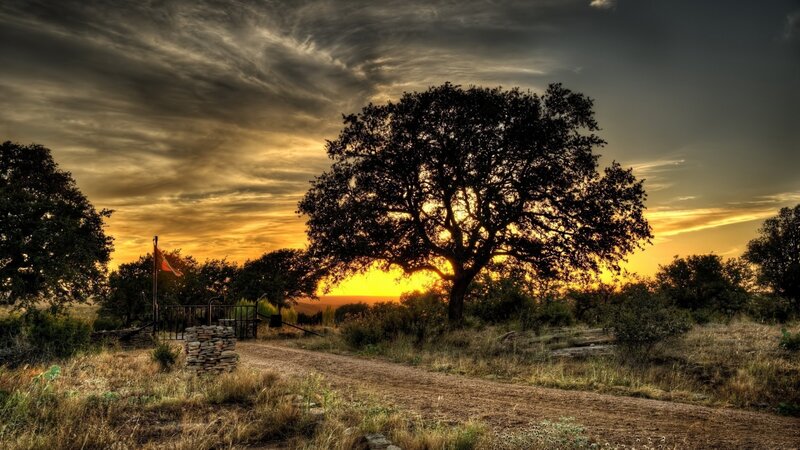 Silhouetted Tree at Sunset — Yellow, Dramatic, Photograph, Path