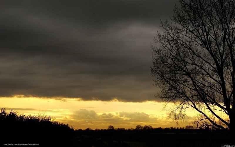 Silhouetted Tree at Sunset — Yellow, Dramatic, Photograph, Sky, Clouds