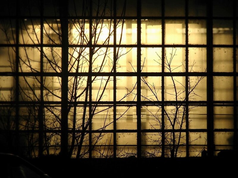 Silhouetted Tree Branches — Black, Dramatic, Night, Photograph, Window