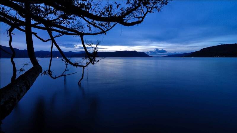 Silhouetted Tree Branches — Blue, Serene, Night, Photograph