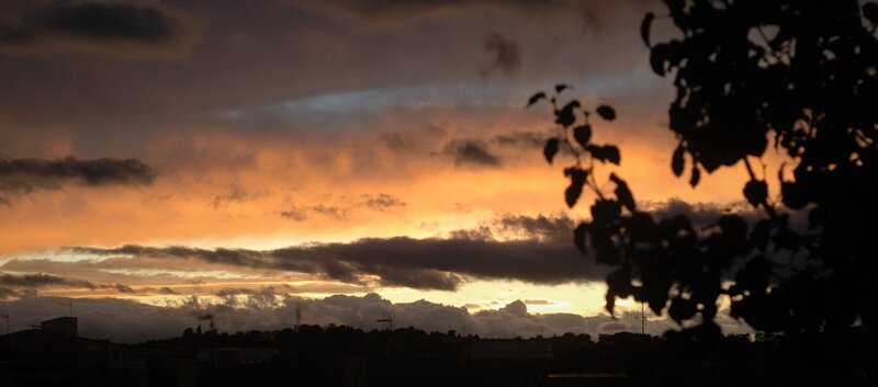 Silhouetted Tree Branches — Orange, Dramatic, Sunset, Photograph, Clouds
