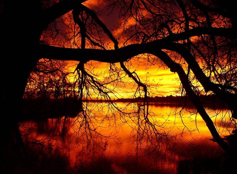Silhouetted Tree Branches — Orange, Dramatic, Sunset, Photograph, Lake