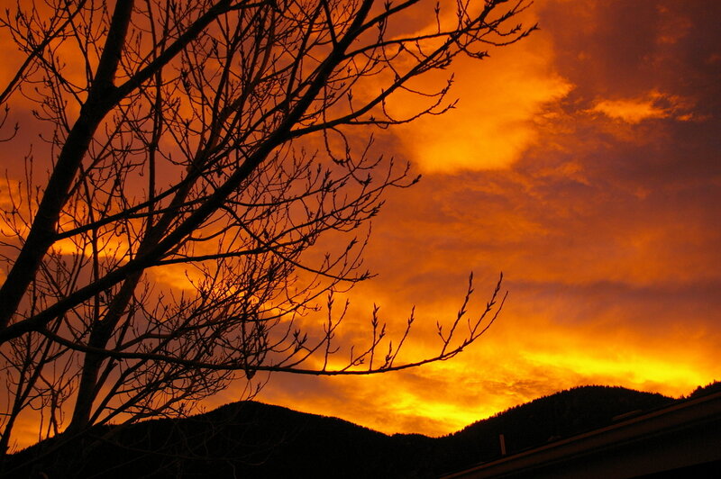 Silhouetted Tree Branches — Orange, Dramatic, Sunset, Photograph, Mountains
