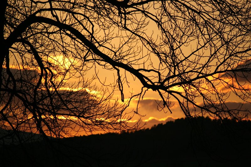 Silhouetted Tree Branches — Orange, Dramatic, Sunset, Photograph, Sky, Clouds, Trees