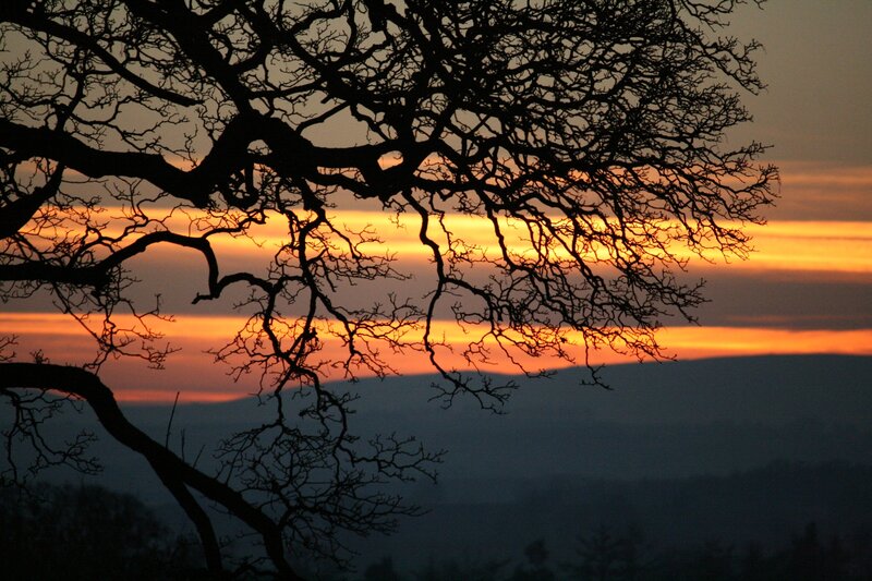 Silhouetted Tree Branches — Orange, Dramatic, Sunset, Photograph, Sky, Mountains