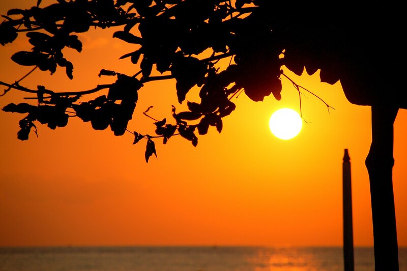 Silhouetted Tree Branches — Orange, Serene, Sunset, Photograph, Sun, Ocean