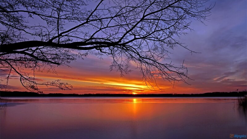 Silhouetted Tree Branches — Orange, Serene, Sunset, Photograph, Tree Branches