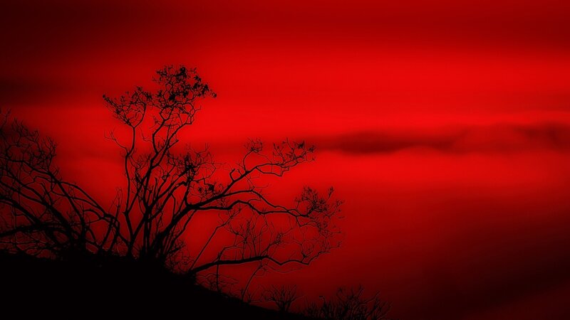 Silhouetted Tree Branches — Red, Dramatic, Sunset, Photograph, Sky, Clouds