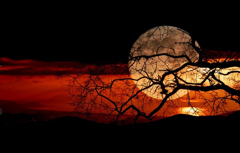 Silhouetted Tree Branches — Red, Dramatic, Sunset
