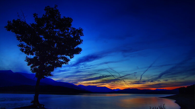 Silhouetted Tree by Lake — Blue, Serene, Sunset
