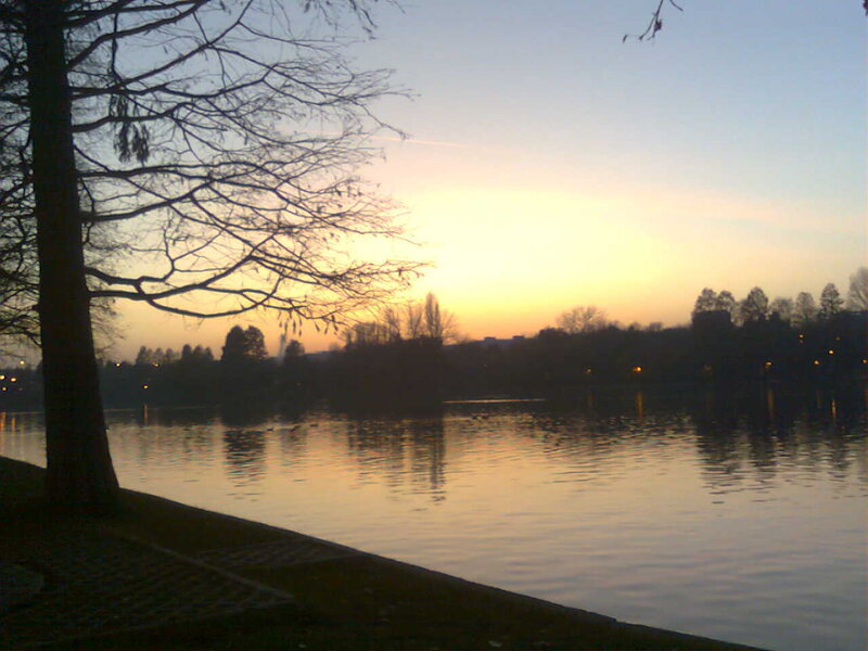 Silhouetted Tree by Lake — Orange, Serene