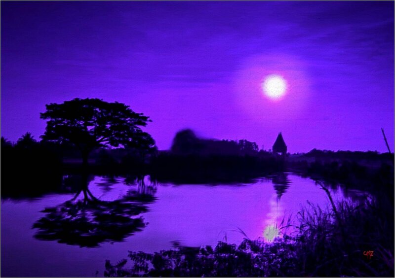 Silhouetted Tree by Lake — Purple, Serene