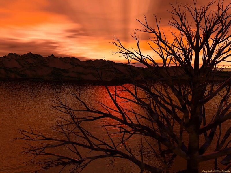 Silhouetted Tree by Lake