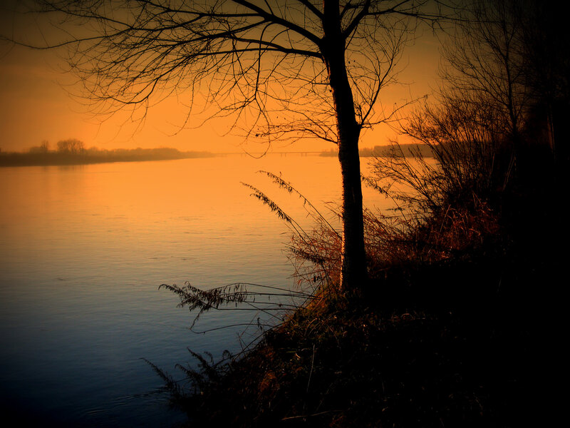 Silhouetted Tree by River — Orange