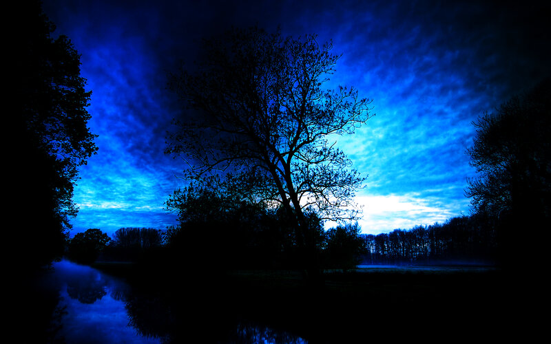 Silhouetted Tree by River