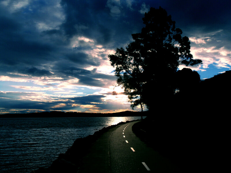 Silhouetted Tree by Water — Blue, Dramatic