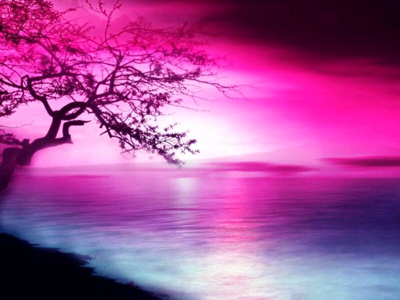 Silhouetted Tree by Water — Pink, Dreamy